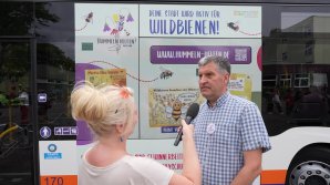 Hummeln helfen